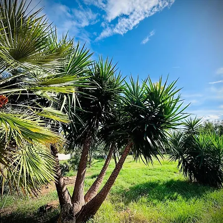 Da Giovanni - Terrasse - Kueche - Klima - Parken *