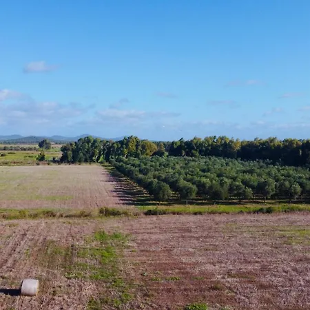 Da Giovanni - Terrasse - Kueche - Klima - Parken Lägenhet *