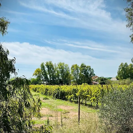 Da Giovanni - Terrasse - Kueche - Klima - Parken